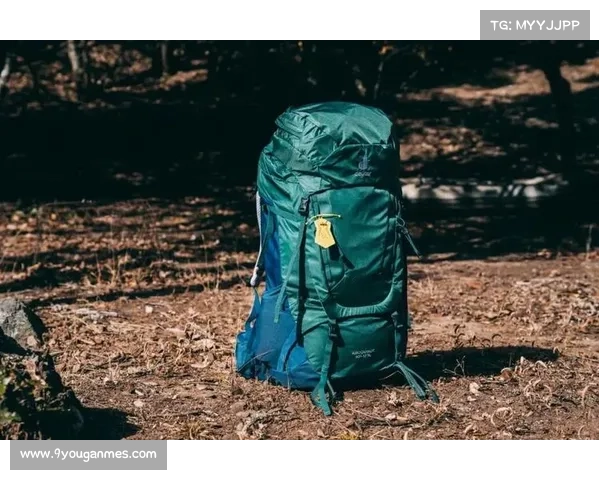 户外运动装备环保材料受关注，欧盟PFC-Free标准普及